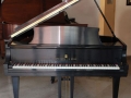 steinway_m